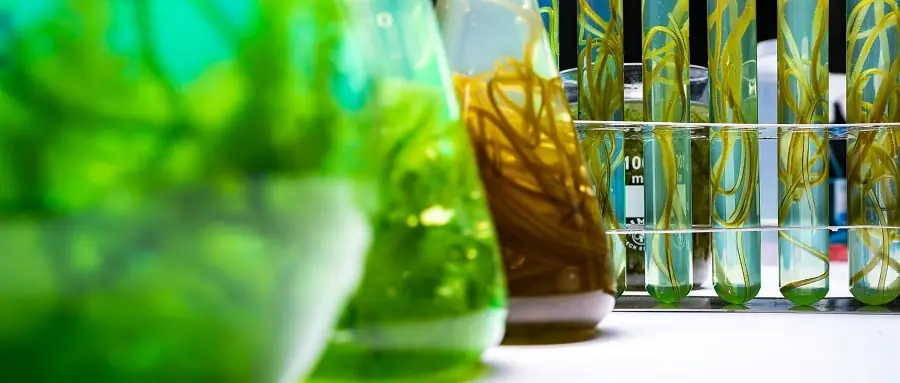 Insights on International Biology Olympiads