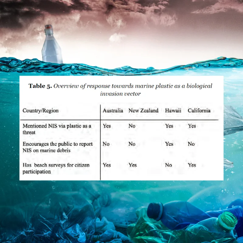 Jiaying Pioneer research Journal summary image